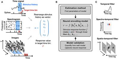 Models of Neuronal Stimulus-Response Functions: Elaboration, Estimation, and Evaluation